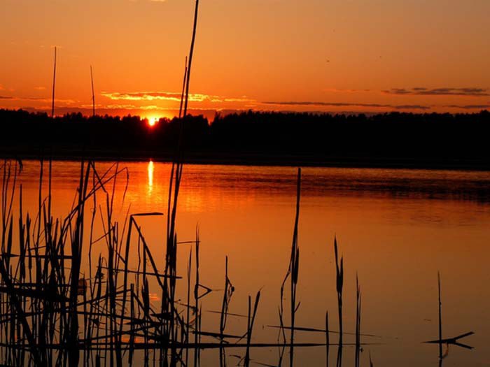 Санаторий Карачарово: Отдых и Лечение в Тверской Области
